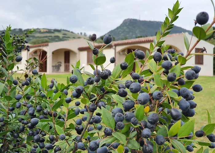 La Casa Di Spinosella